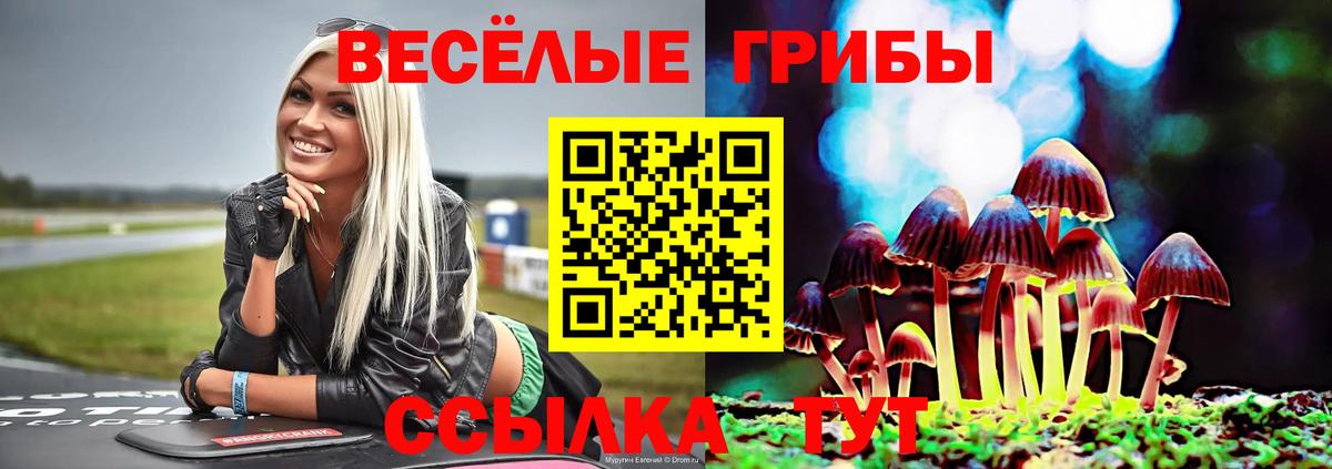 Галлюциногенные грибы мицелий Вязники