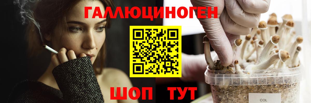Галлюциногенные грибы MAGIC MUSHROOMS  Галлюциногенные грибы Magic Shrooms  Вход с VPN  Вязники 